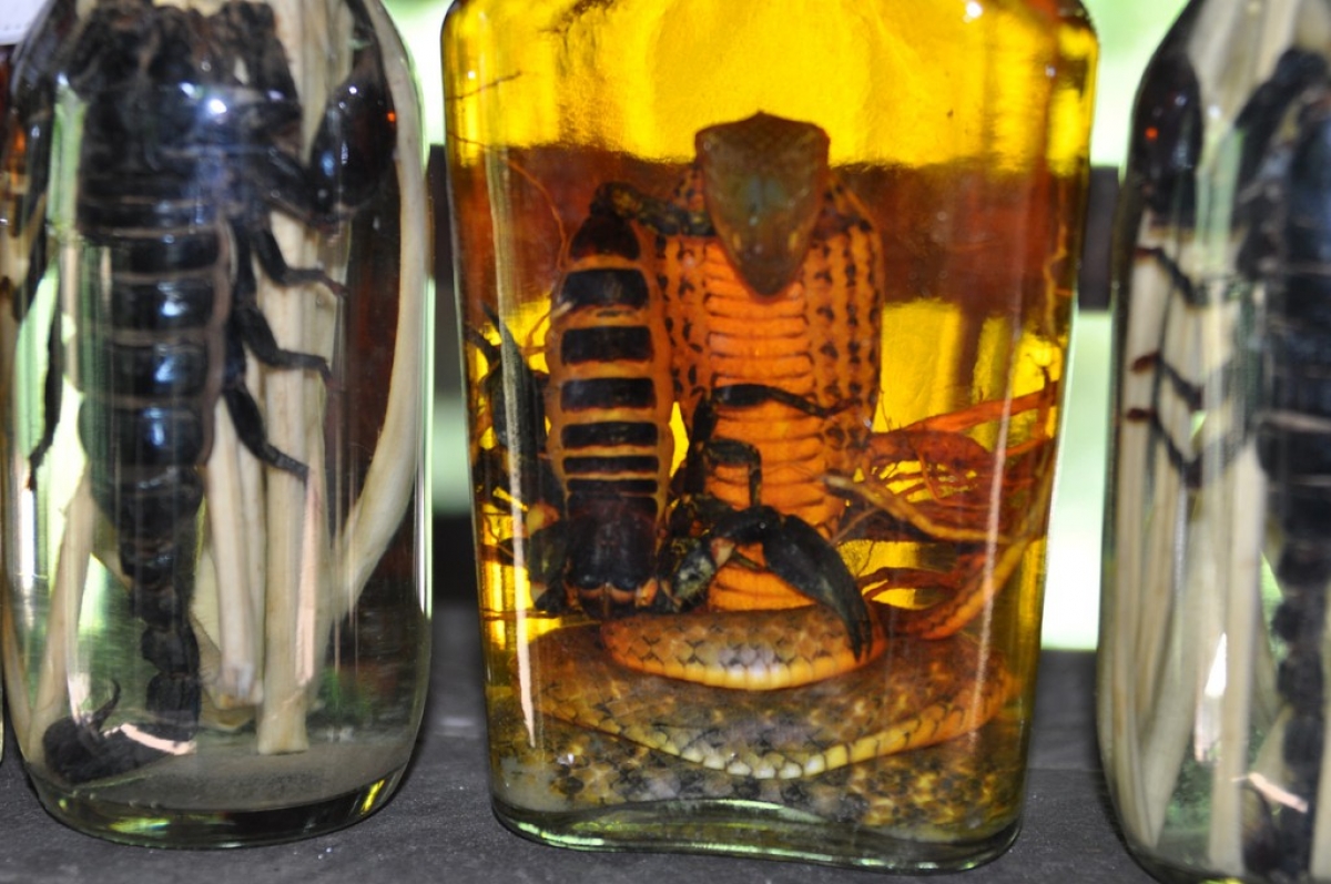 Snake Village can be found in Le Mat village near Hanoi. Visitors to the site are able to sample strange delicacies such as stir-fried snake, washed down with a shot of snake liquor. However, these unusual dishes are nothing compared to swallowing a still-beating snake heart.