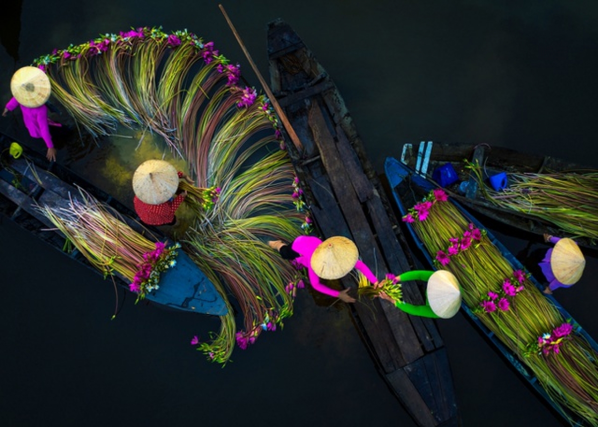Named “Waterlilies Harvesting Season”, this image was taken in Long An province by Trung Pham Huy, being Highly Commended in the “Journeys & Adventures” category.