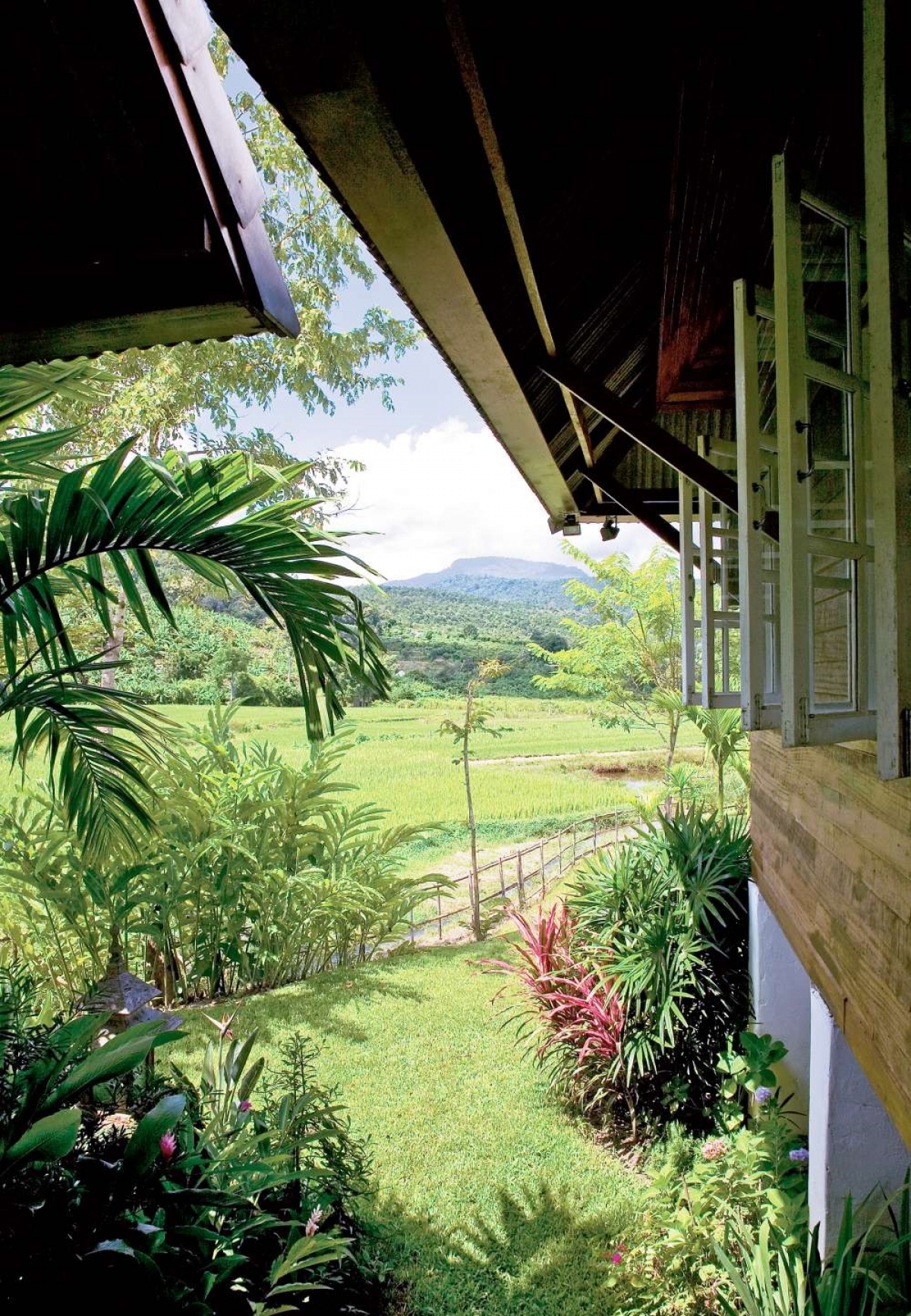 3. Ngôi nhà mơ ước giữa rừng và cánh đồng lúa: Ngôi nhà tọa lạc trên một vị trí đắc địa có tầm nhìn ra cánh đồng lúa xanh ngút tầm mắt, hai bên là khu rừng gỗ tếch.