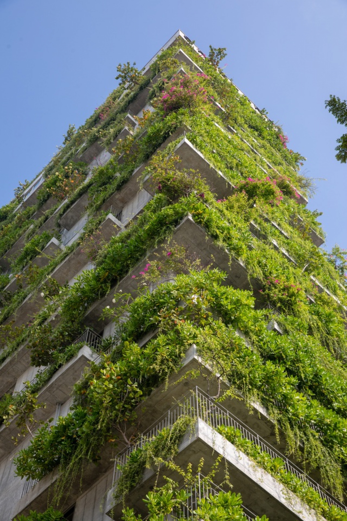 As the winner of the Hospitality Architecture category, the structure features 153 rooms over 21 floors, all of which is covered by three vertical green facades which form a small forest.