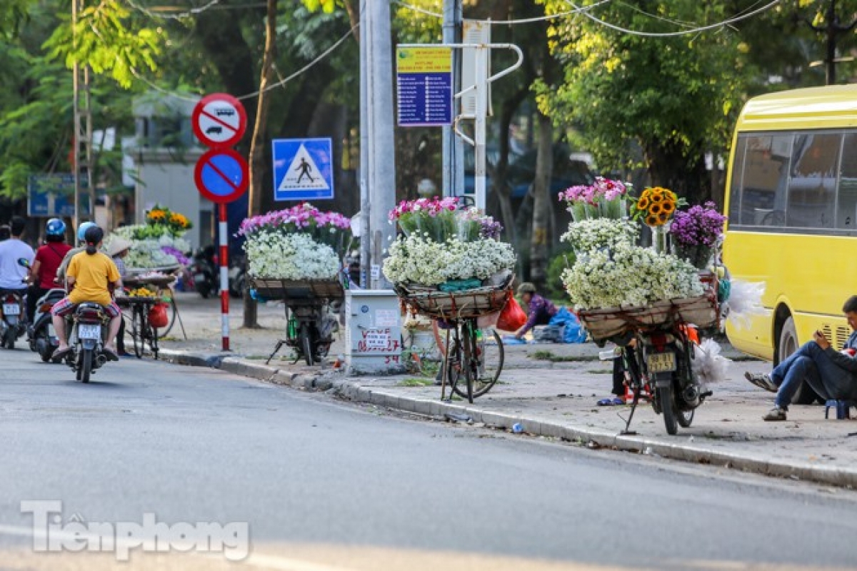 The flowers can easily be found on streets throughout the capital city such as Phan Dinh Phung, Thuy Khue, Thanh Nien, and Nguyen Dinh Thi.