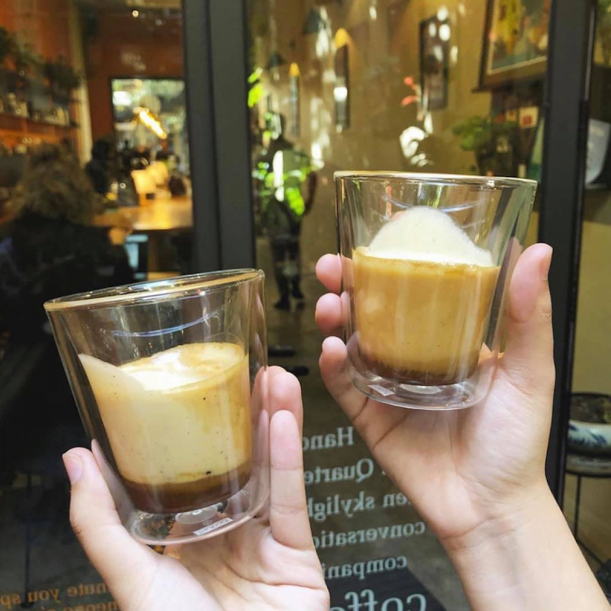 Blackbird. Photo: Ngoc Ha