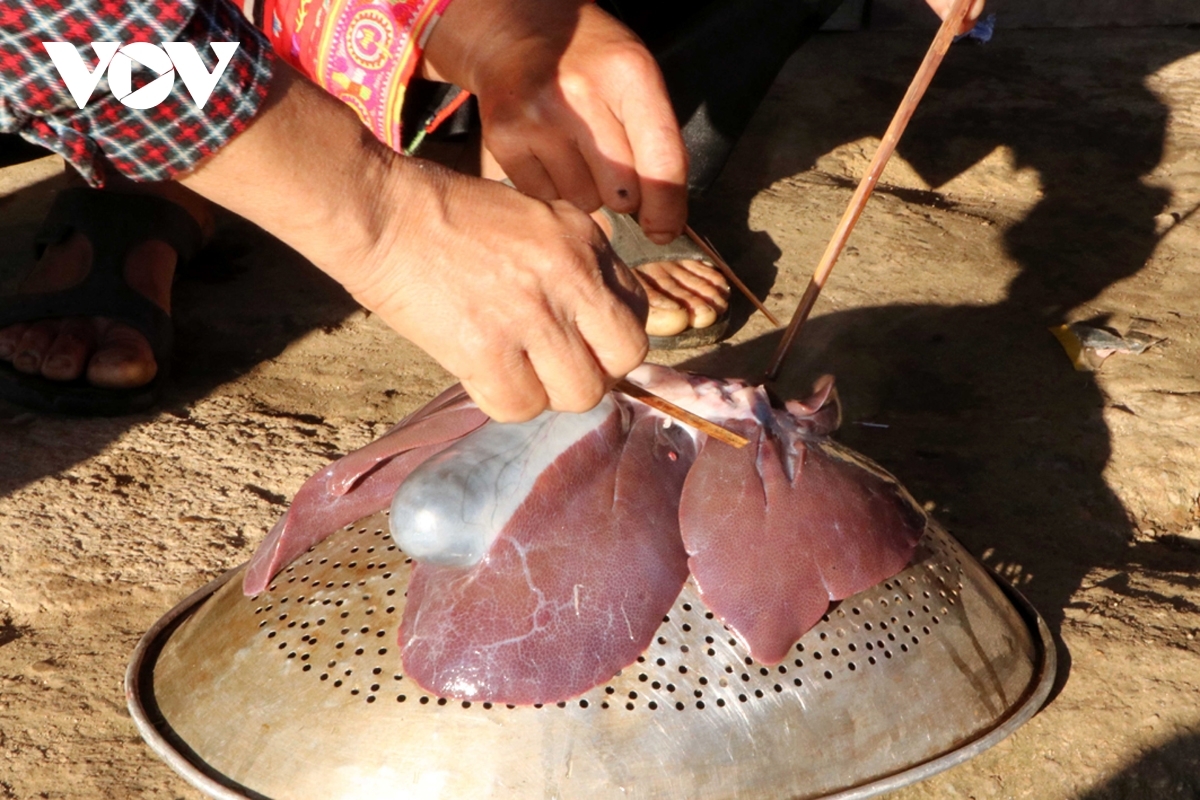 Traditionally, if the pig is healthy, its liver’s colour is bright and its bile is full, a bumper rice harvest and good breeding season is anticipated for a new year.