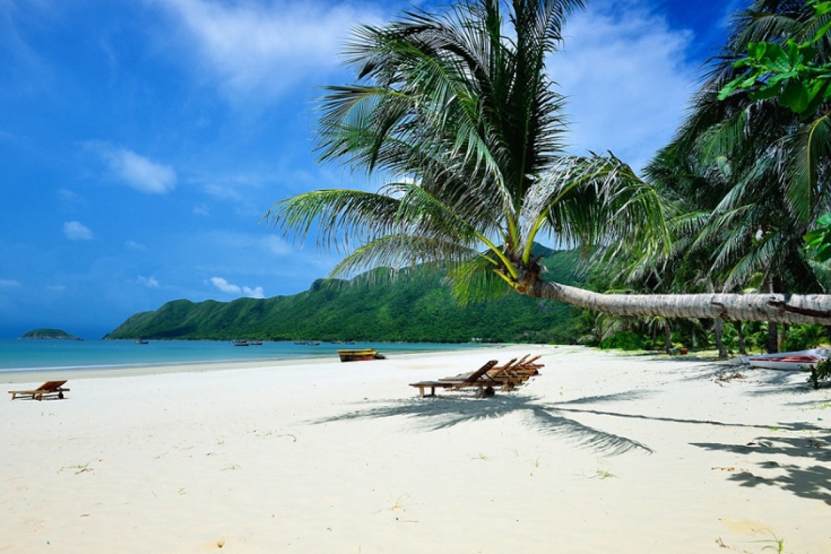 Most couples enjoy taking in Con Dao Island thanks to its wild natural beauty, romantic beaches, luxury hotels and resorts, and delicious seafood. Visitors to the island can enjoy activities such as scuba diving, snorkeling, relaxing on Dam Trau Beach, and riding around the island by motorbike as they enjoy the beauty of nature.