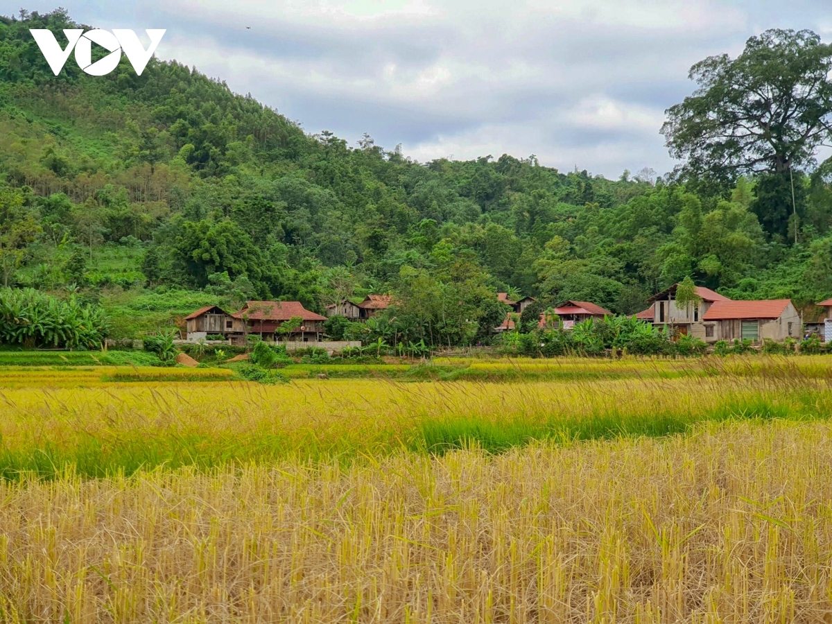 A village containing stilt houses can be seen beyond the rice paddy field. In total, Huu Lien commune has a population of 3,000, mainly consisting of Kinh, Tay, Nung, Dao, and Mong ethnic groups.