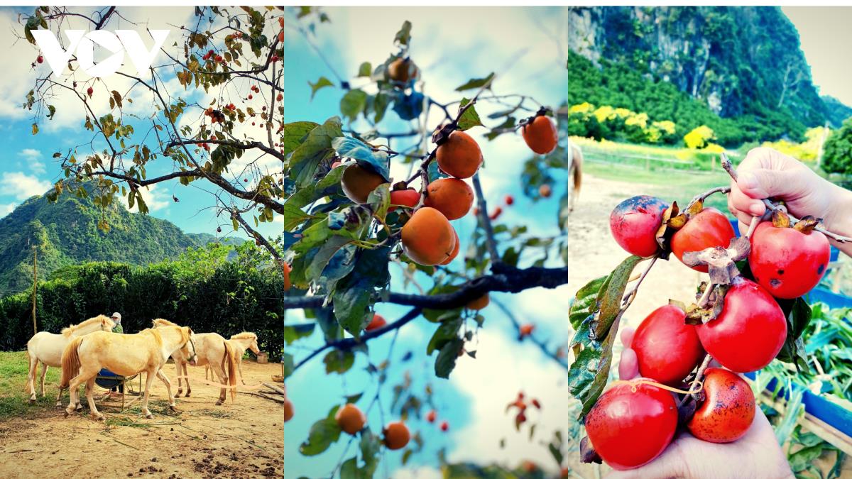 Tasting the area’s ripe fruit in September and October is a tasty activity.