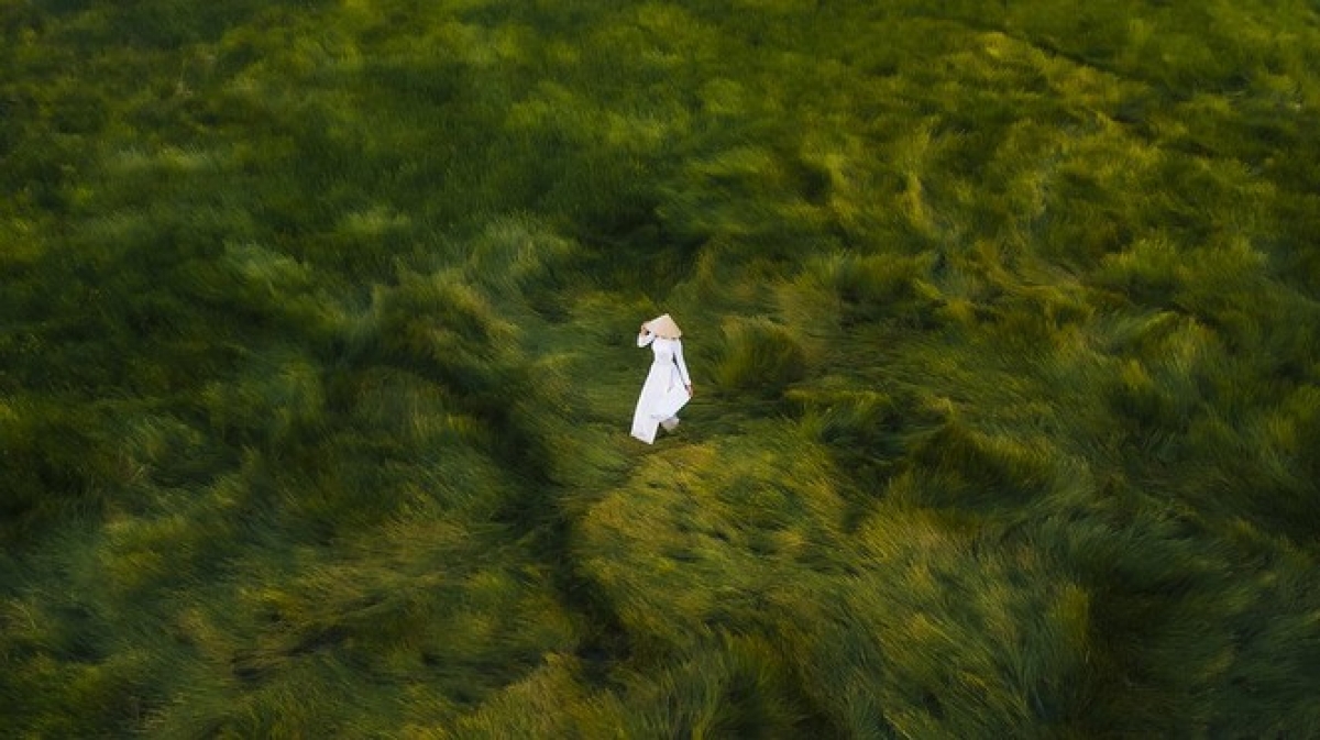 A photo known as ‘Ao Dai’ by photographer @duysinh was captured in the central province of Quang Ngai. “In my photo, a Vietnamese girl is seen wearing an Ao Dai, the national dress of Vietnam, which is highly valued by Vietnamese women. I'd like to invite everyone to honour and show respect for the unique cultural traditions of each country and the role of women today,” the author said.