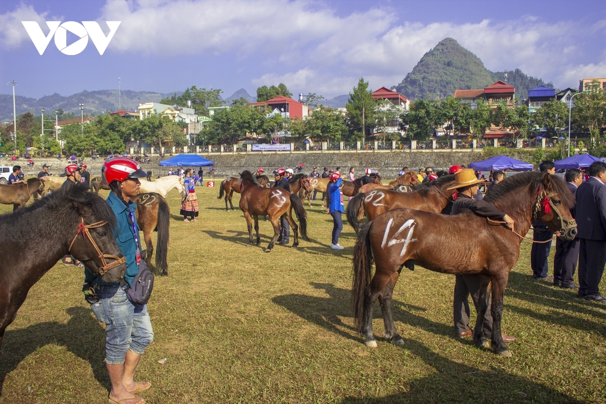 Horse racing is an indispensable game of local people during the festival
