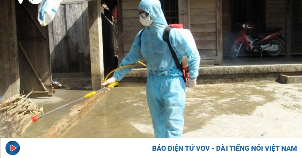 Hanoi, Lam Dong province endure sharp rise in dengue fever cases