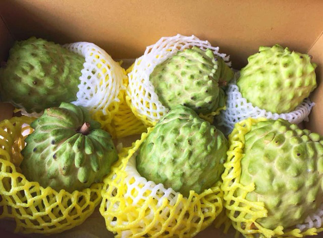 Na nhà giàu đi máy bay về Việt Nam, nửa triệu đồng/kg vẫn cháy hàng - Ảnh 1.