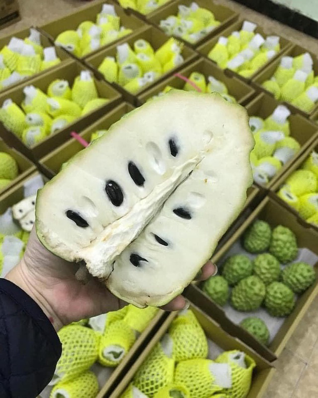 Na nhà giàu đi máy bay về Việt Nam, nửa triệu đồng/kg vẫn cháy hàng - Ảnh 2.