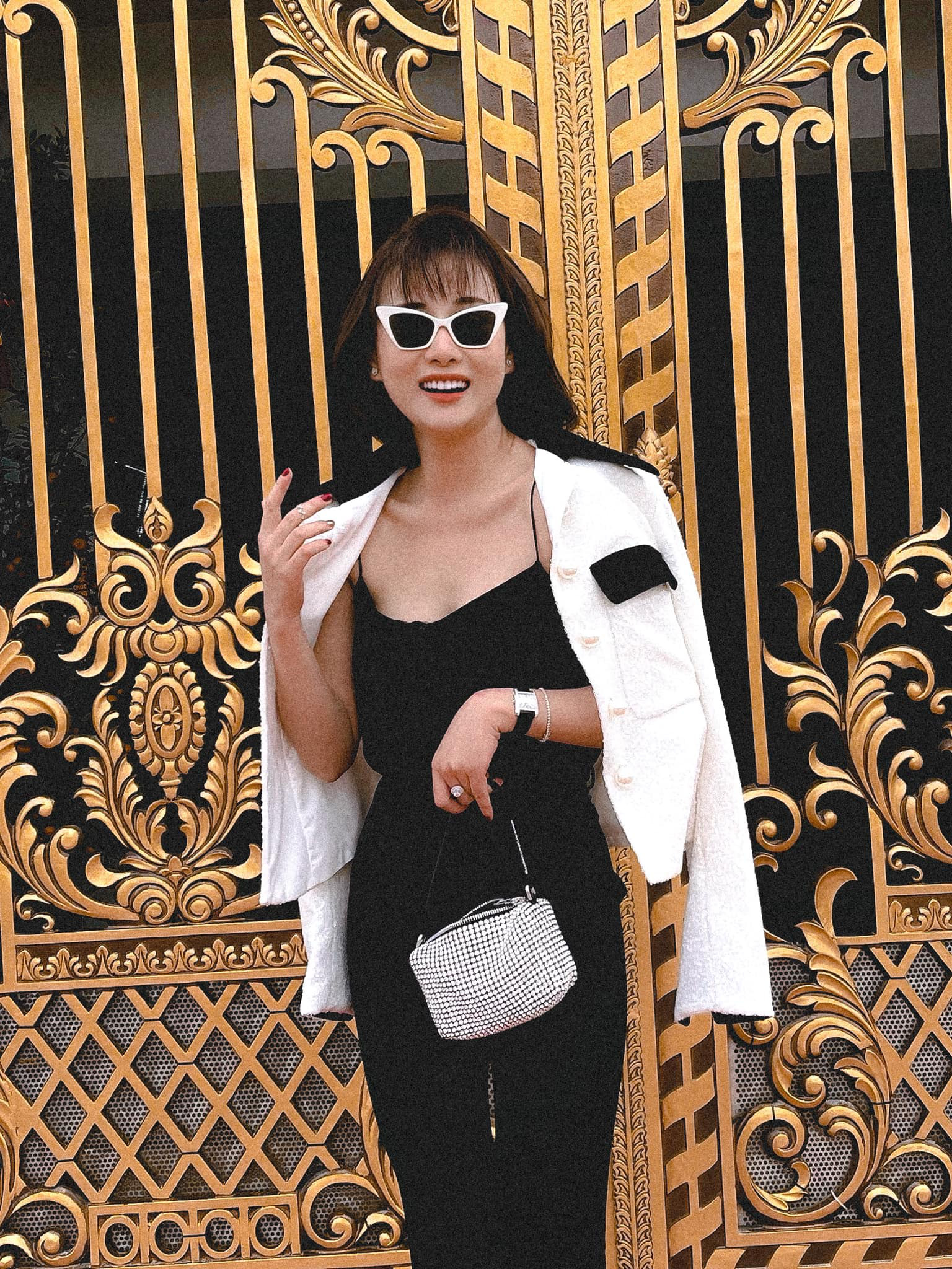 Những chiếc túi hiệu đắt đỏ yêu thích của Phương Oanh - Ảnh 14.