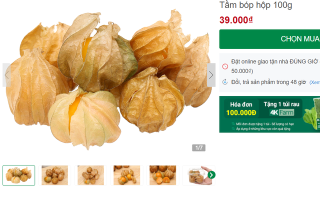 Tầm bóp ở quê chỉ là quả dại, lên kệ siêu thị bán giá 400.000 đồng/kg - Ảnh 1. Tầm bóp ở quê chỉ là quả dại, lên kệ siêu thị bán giá 400.000 đồng/kg - Ảnh 1.