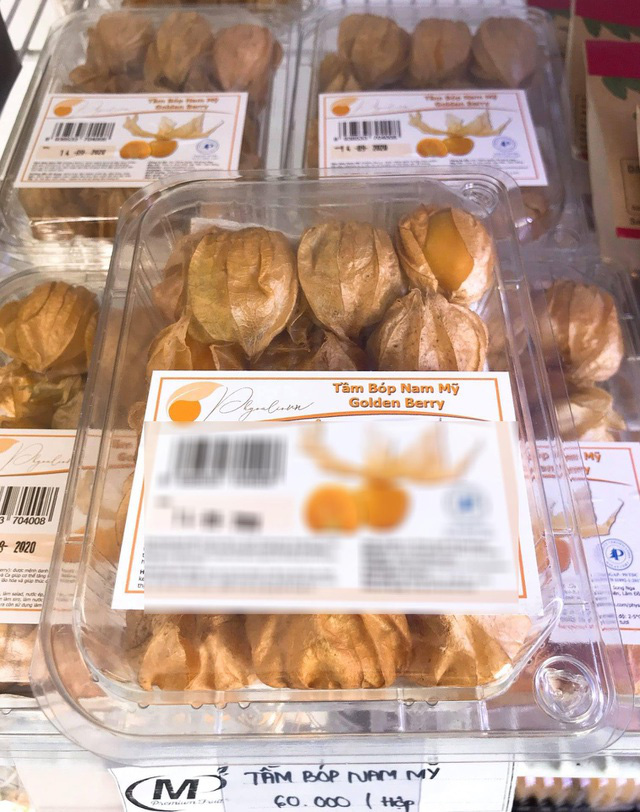 Tầm bóp ở quê chỉ là quả dại, lên kệ siêu thị bán giá 400.000 đồng/kg - Ảnh 2. Tầm bóp ở quê chỉ là quả dại, lên kệ siêu thị bán giá 400.000 đồng/kg - Ảnh 2.