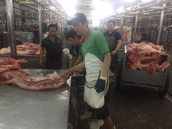 Nghe VietNamNet: Giá lợn hơi giảm xuống dưới 80.000 đồng/kg