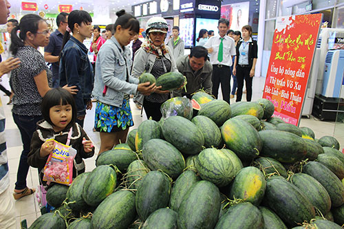 “Đắng” mùa dưa hấu - ảnh 2