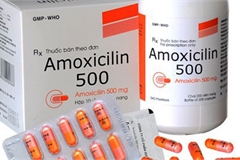Hà Nội thông báo tạm dừng phân phối và sử dụng thuốc Amoxicillin 500mg