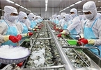 Minh Phu Seafood shares fall on investigation of tax evasion