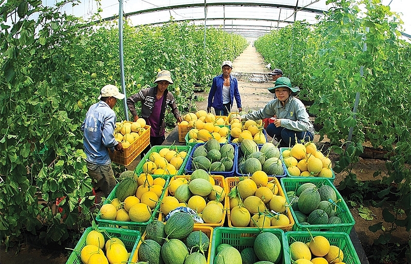 Economic bailout package proposed