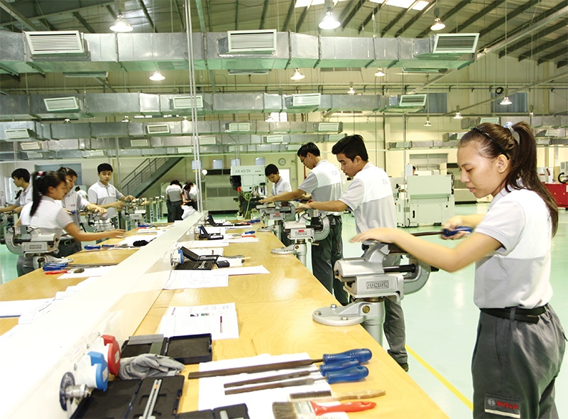 investors upbeat regarding evfta