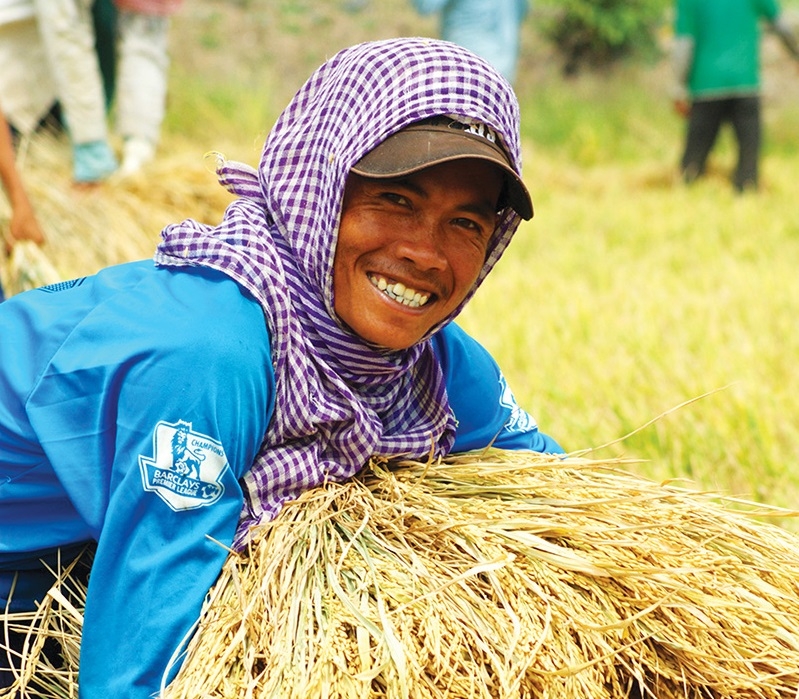 halting rice exports to stabilise food supplies