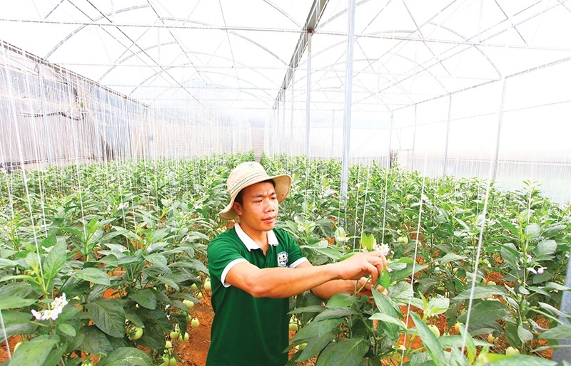 VN agriculture out in the cold for credit