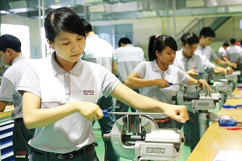 1490p6 nudging investors towards new pastures