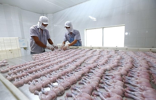Vietnam's seafood exporters setting up basis for EVFTA boons