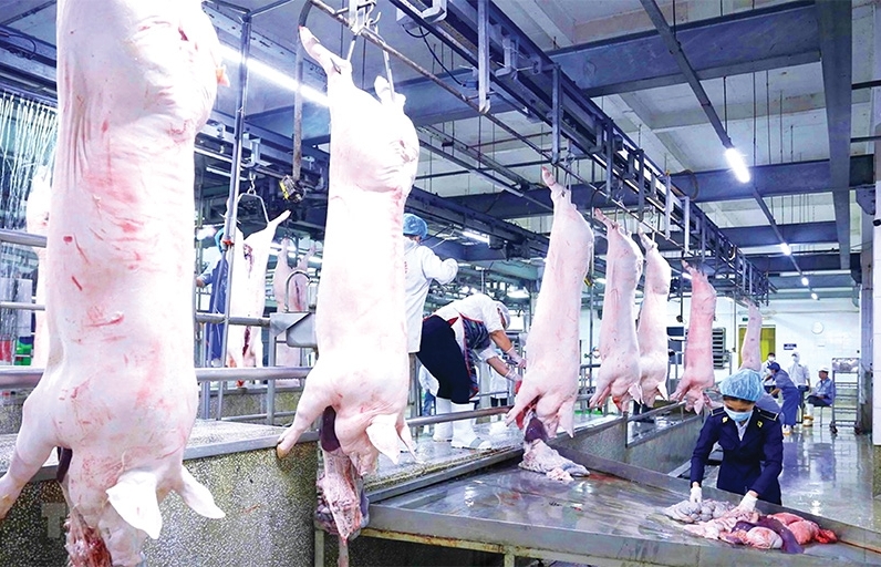 Rush of high-tech breeders expanding into Vietnam