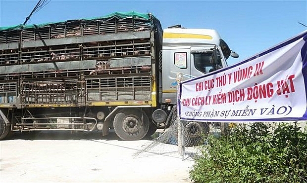 1500p18 rising price of pigs yields expansion across the board