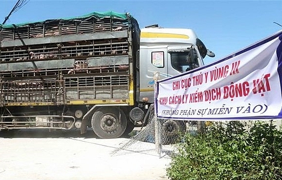 Rising price of pigs yields expansion across the board