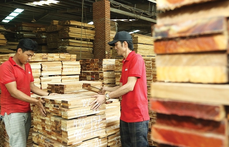 Vietnam’s plywood suppliers under scrutiny over practices