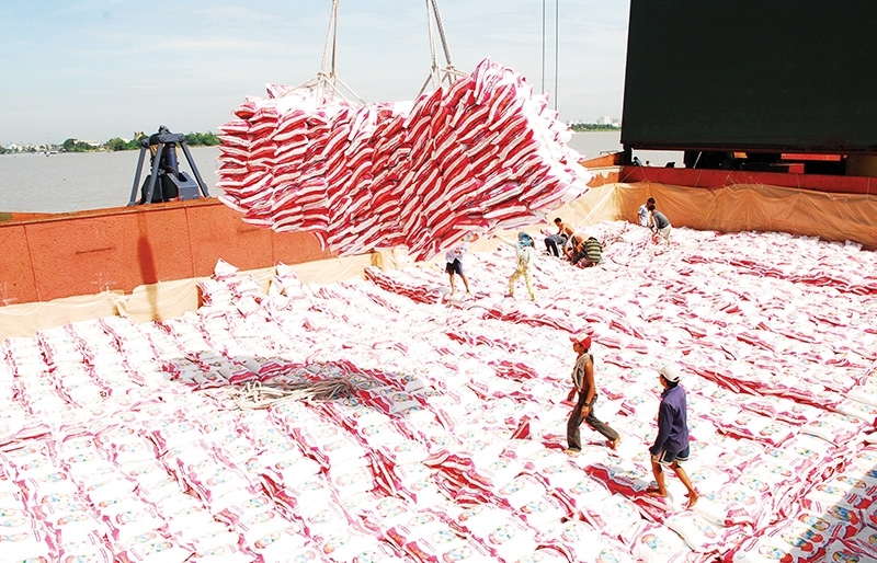 VN rice exporters gear up to penetrate EU arena
