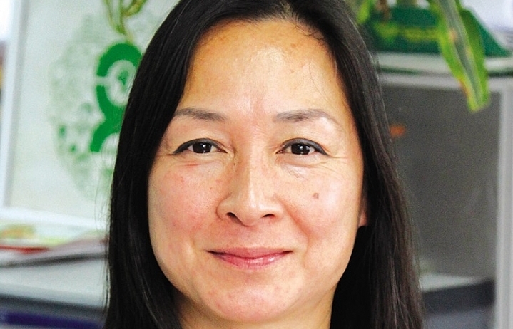 Developing renewable energy in Vietnam: Through the lens of equality and sustainability