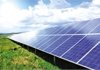 Auction could determine future of solar initiatives