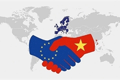 Smorgasbord of opportunities from freshly approved EVFTA