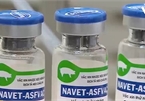 Vietnam to become first country to produce vaccine for ASF