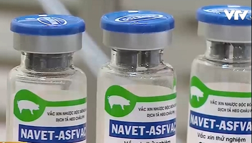 Vietnam to become first country to produce vaccine for ASF