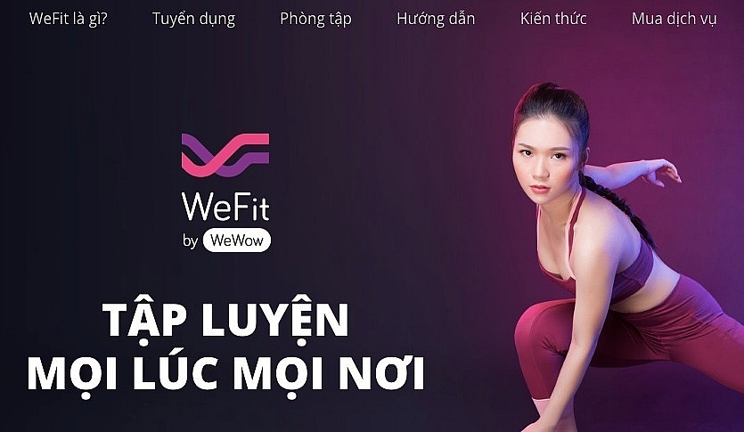 wefit goes bankrupt