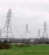 7 buc anh gay ao giac tung khien dan mang tranh cai nay lua hinh anh 5