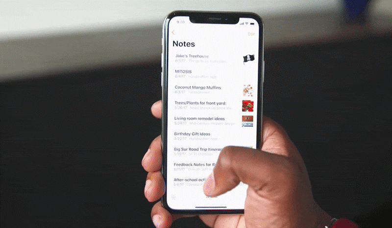 Cuu thiet ke Apple dap lai loi che iPhone cua ong Trump hinh anh 2