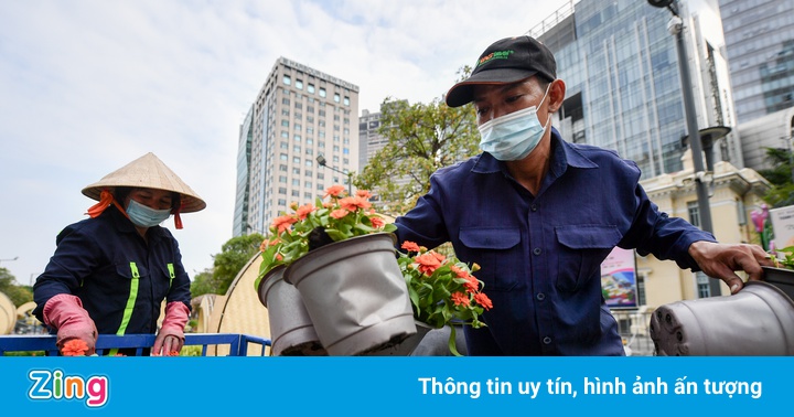 The country’s largest flower street taking shape in HCM City