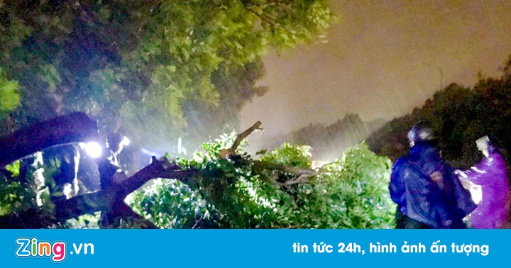 Nghe VietNamNet: Bão số 5 giật cấp 12, đổ bộ trong đêm