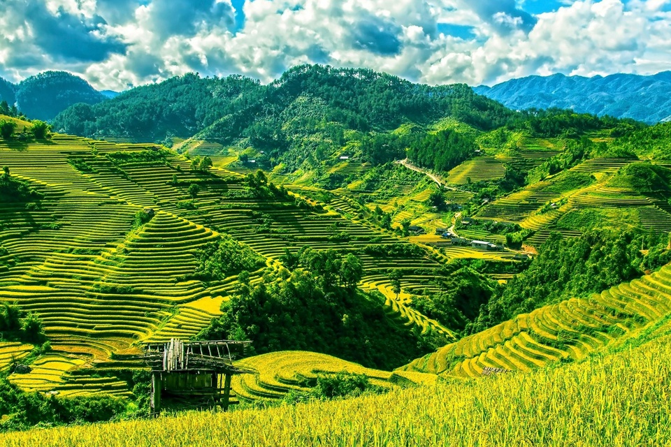 Sa Pa và những nơi có ruộng bậc thang đẹp nổi tiếng