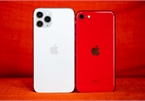 Mẫu iPhone giảm giá nhiều nhất ở Việt Nam