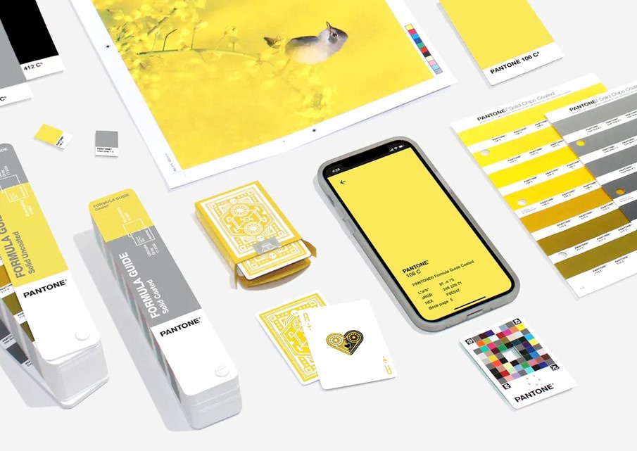 iPhone 11 và loạt sản phẩm công nghệ mang 'màu sắc của năm 2021'