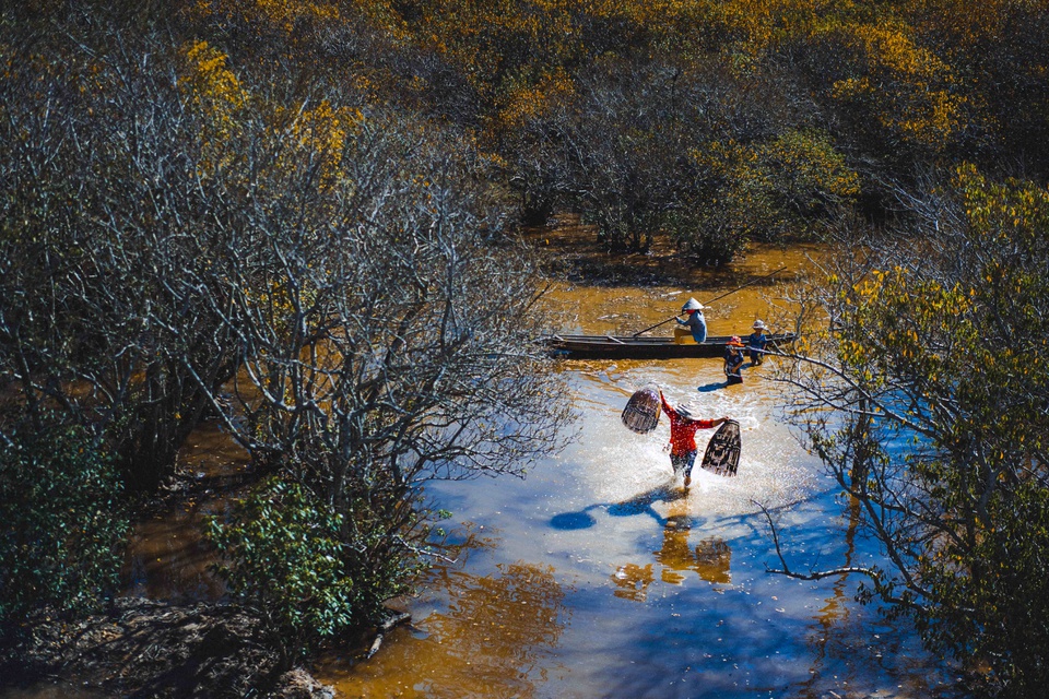 Hue’s mangrove forest in autumn is a beautiful sight