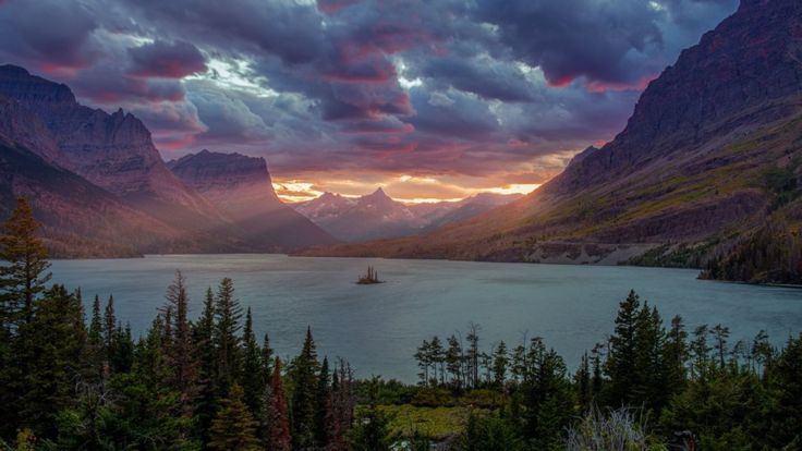 Chủ nhân bức hình nền khiến nhiều điện thoại Android bị hỏng