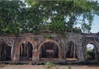 A 100-year-old communal house under Bodhi tree roots