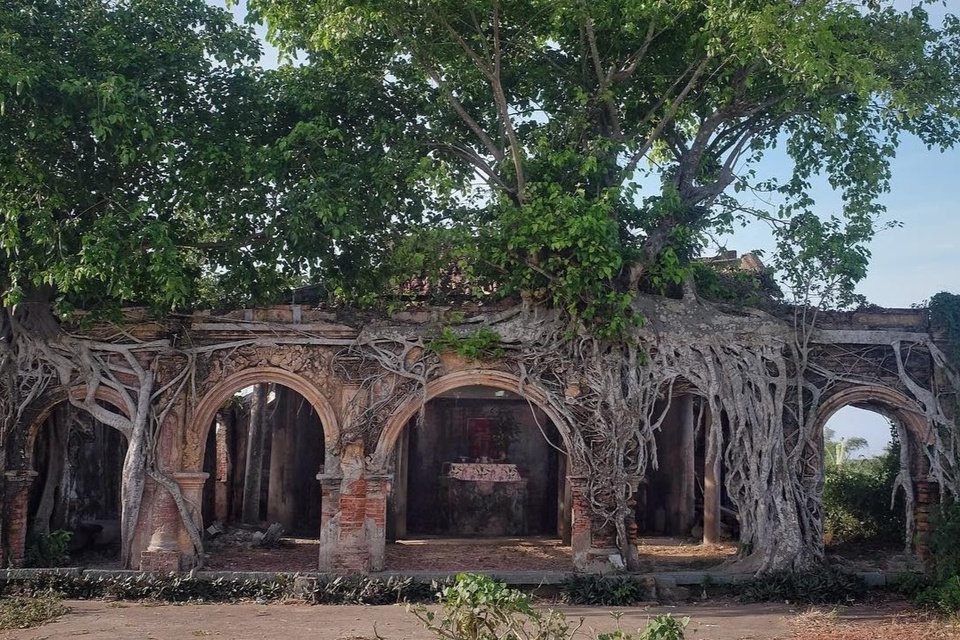 A 100-year-old communal house under Bodhi tree roots